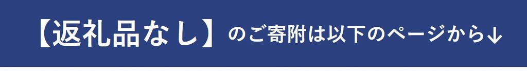 返礼品なし