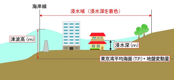 津波浸水深等の説明図