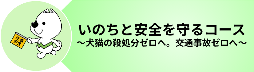コース10