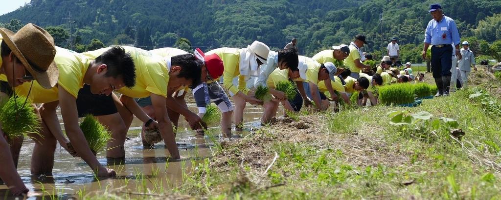 企業のふるさと事業事例写真