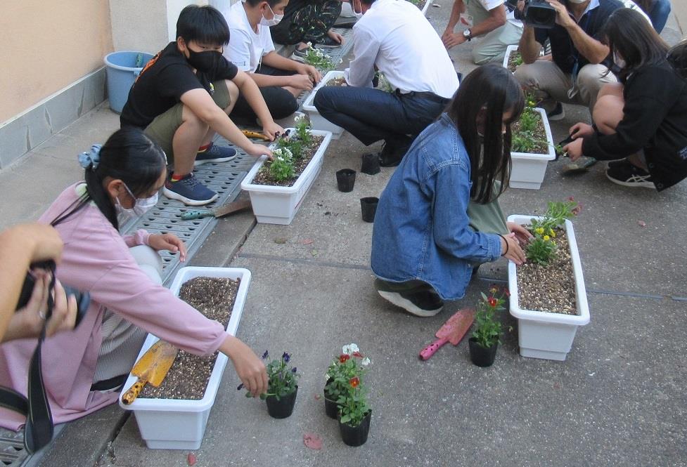 和歌山市立中之島小学校　定植作業