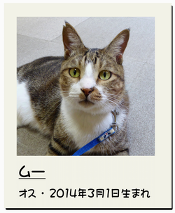 ムー