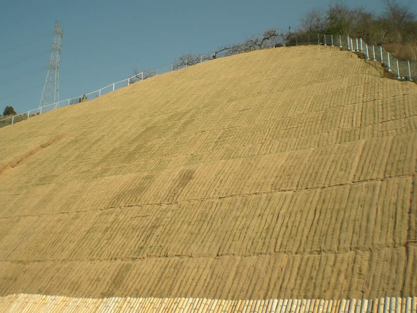 九度山町河根地区 完成後の写真