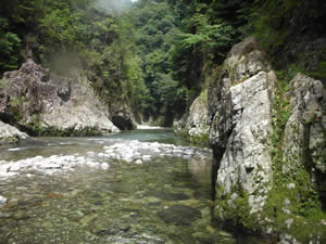 和田川峡の写真