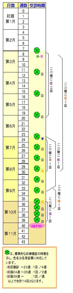 妊婦健診受診時期の画像