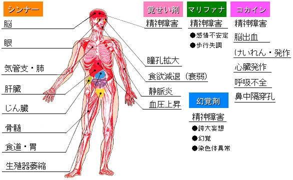 薬物による身体への影響の画像