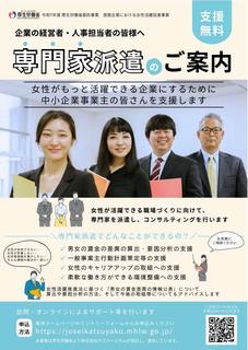 専門家派遣（チラシ）