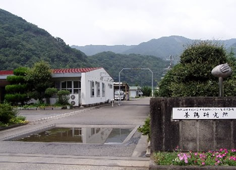 養鶏研究所の画像