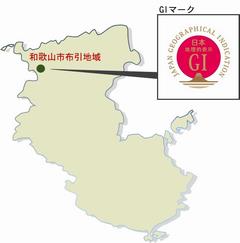 和歌山市布引地区