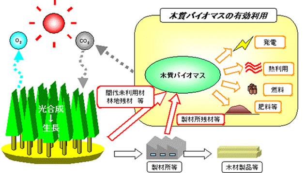 木質バイオマス利用の促進の画像