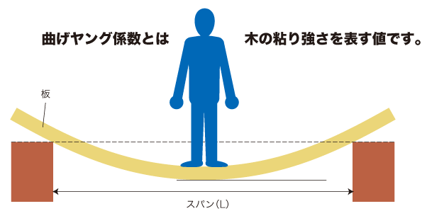 曲げヤング係数とは木の粘り強さを表す値です。の画像