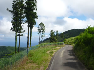 林道和深鶴川線の画像