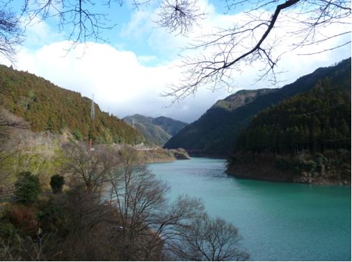 水源かん養保安林写真