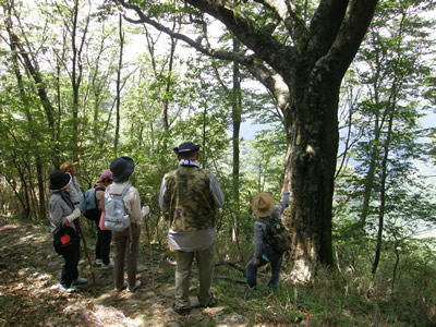 田辺市龍神村龍神護摩壇山