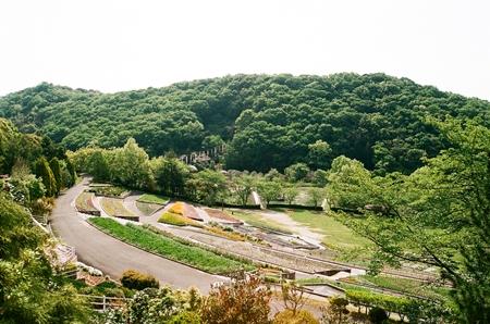 和歌山県植物公園緑花センター