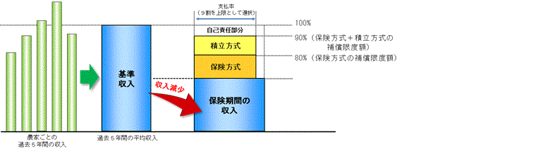 収入保険概要