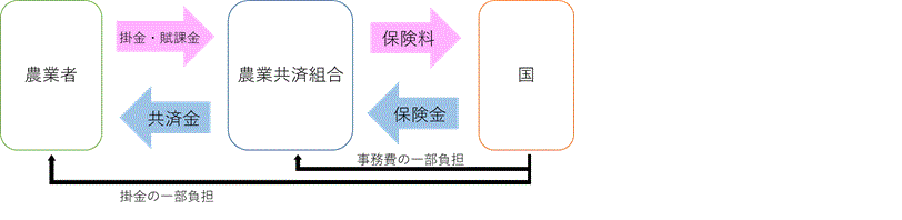 補償制度（2段階制）