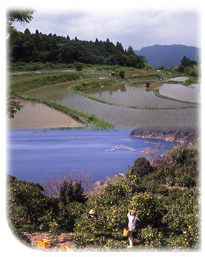 山や海に囲まれて