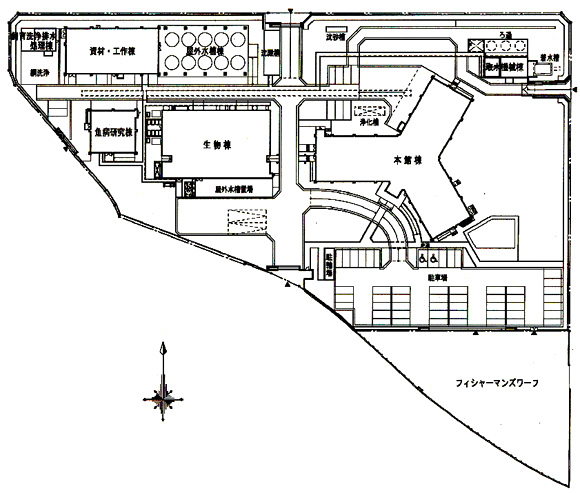 水産試験場全体図の画像