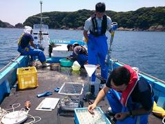 水質・底質調査