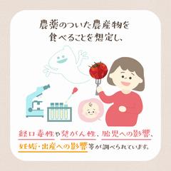 農薬の残留基準はどうやって設定しているの_02