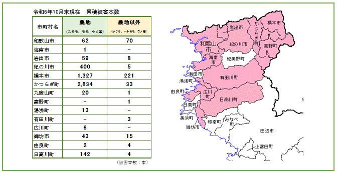 被害状況