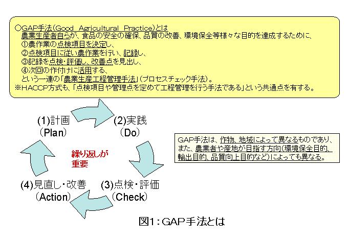 ＧＡＰ手法についての図