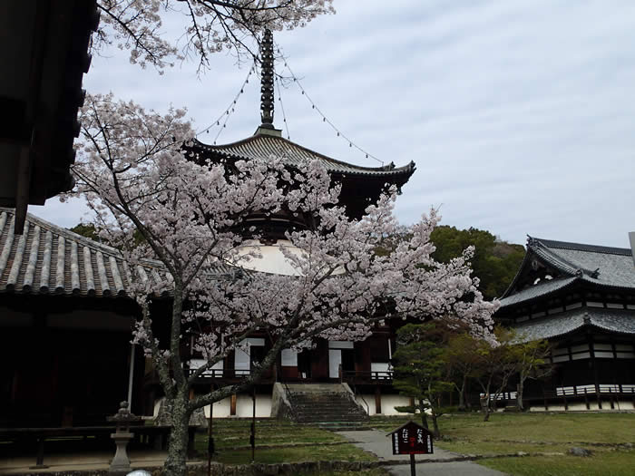 根来寺の写真