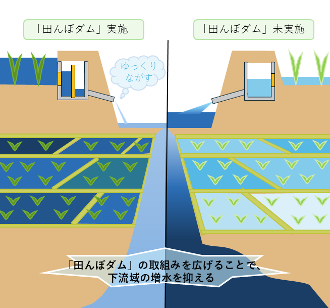田んぼダムの仕組みをイメージした図