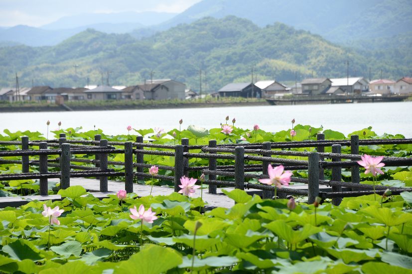 紀の川市1