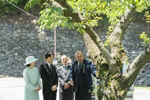 桜再生事業　御懇談