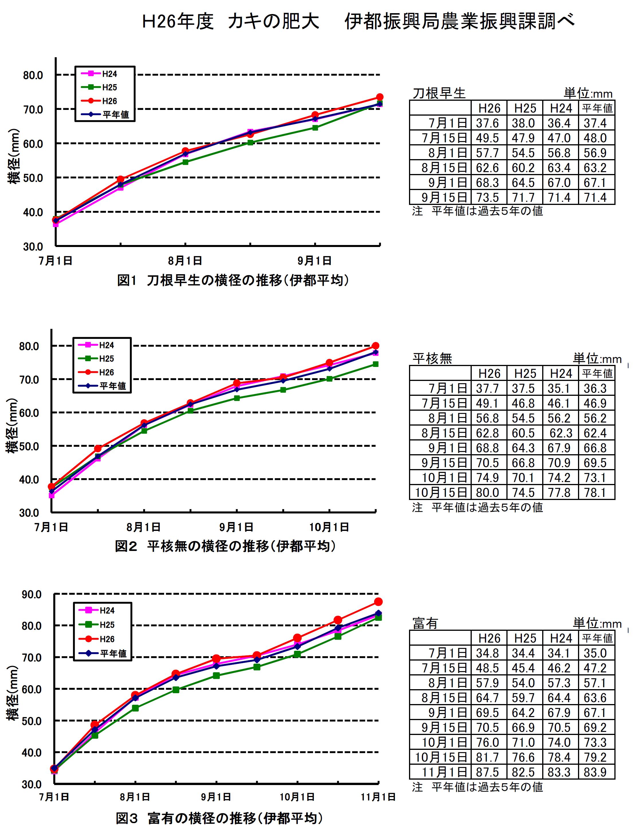 肥大調査結果資料