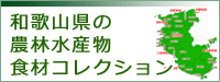 和歌山県の農林水産物食材コレクションの画像