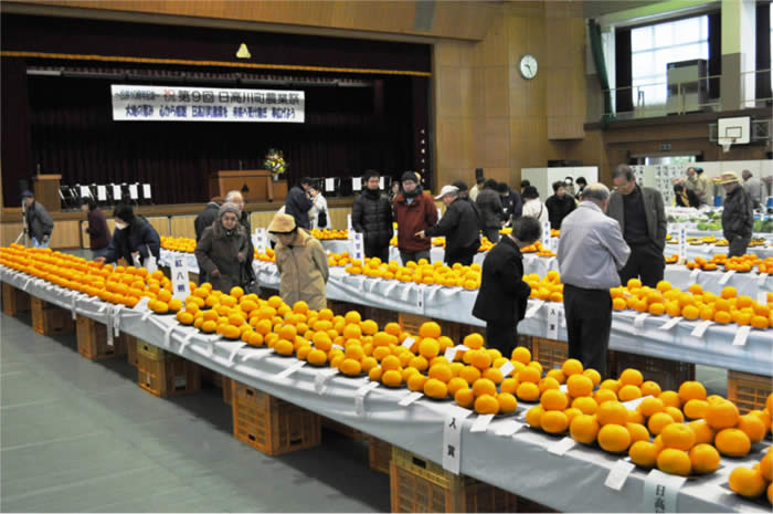 日高川町農業祭の画像3