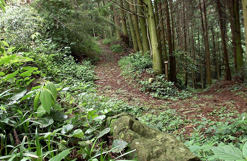 鹿ヶ瀬峠の画像