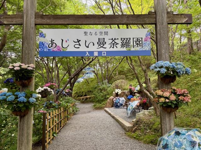 あじさい曼荼羅の画像