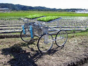 半自動多条移植機（ちどりさん）の写真