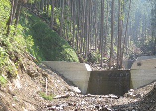 治山工事後の写真