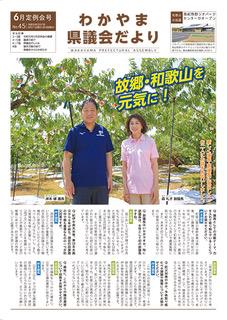 県議会だより第45号